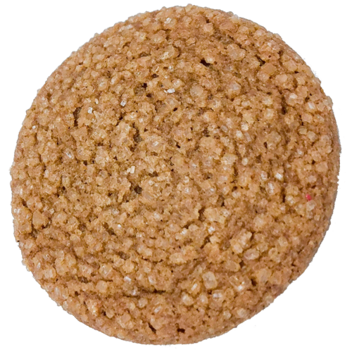 Ginger honey snap cookie with transparent background